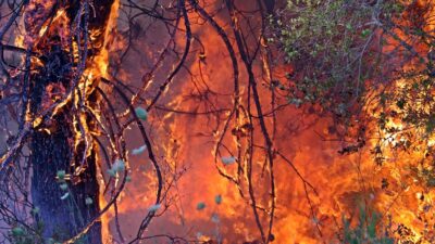 Orman yangınlarında son durum: 6 kent alev alev