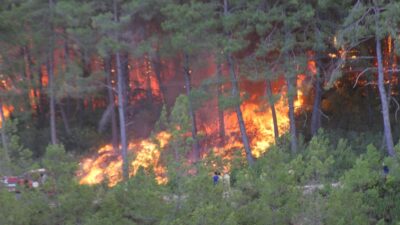 Antalya Manavgat’taki orman yangını 4. gününde