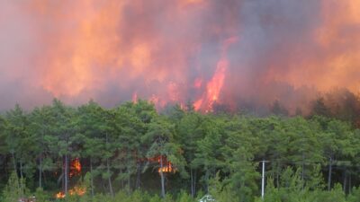Türkiye’nin güneyi alev alev! İşte orman yangınlarında son durum