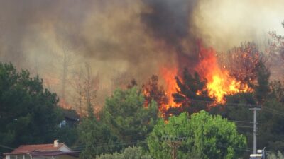 Uşak’ta orman yangını! Alevler evlere sıçradı