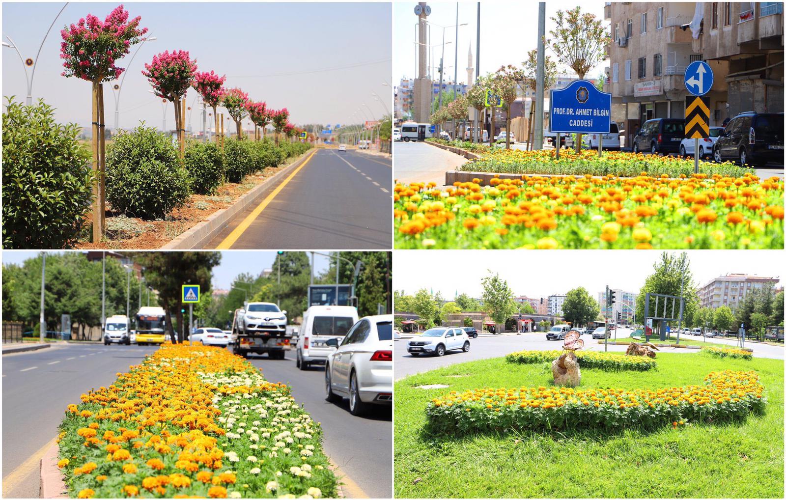 Diyarbakır’da cadde ve sokaklar rengarenk …