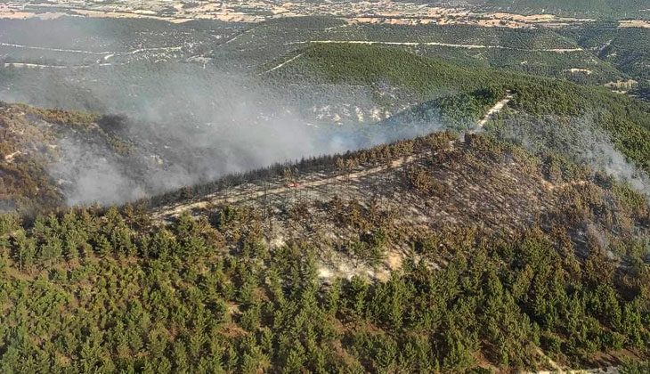 Manisa’da 15 hektarlık alan zarar gördü