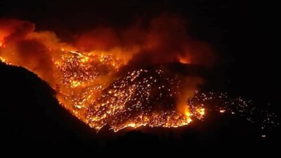 Mersin, Osmaniye ve Adana’da orman yangınları