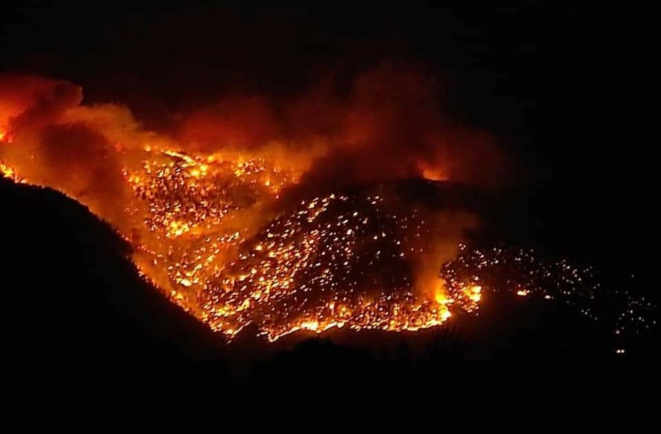 Mersin, Osmaniye ve Adana’da orman yangınları