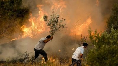 Yangından etkilenen yerler ‘Genel Hayata Etkili Afet Bölgesi’ ilan edildi