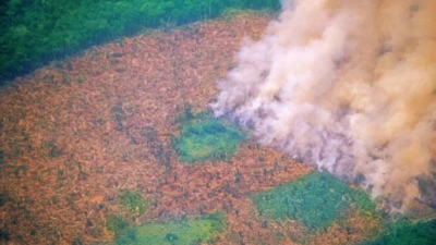 Amazon emdiğinden daha fazla karbondioksit salıyor