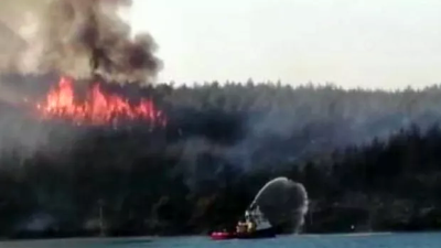 Orman yangınına söndürme gemileri de müdahale etti