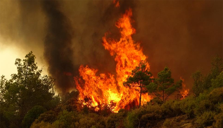Ülke genelindeki orman yangınlarında son durum! AFAD il il açıkladı
