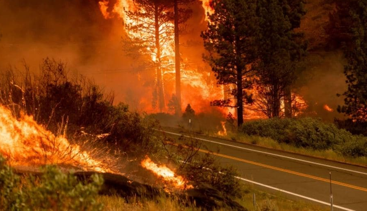California’daki orman yangını günlerdir sürüyor