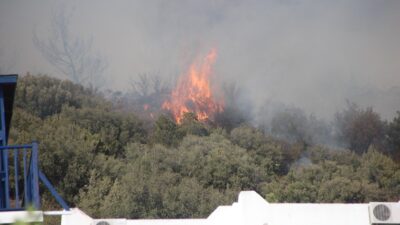 Bodrum’daki orman yangını kontrol altında