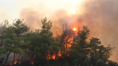 Orman yangınlarında son durum (2 Ağustos 2021)