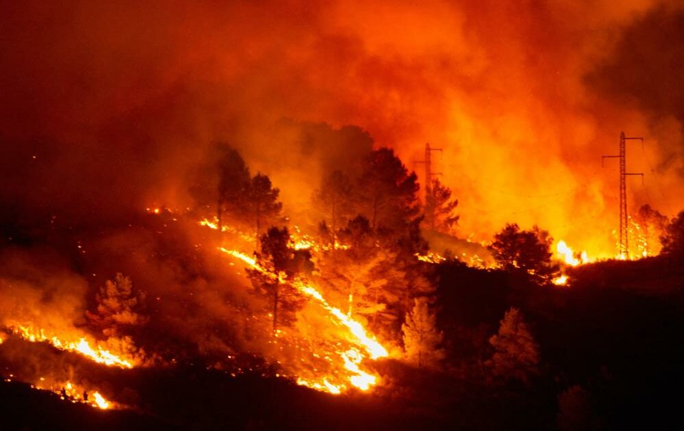Cezayir’deki orman yangınlarında ölenlerin sayısı 42’ye yükseldi