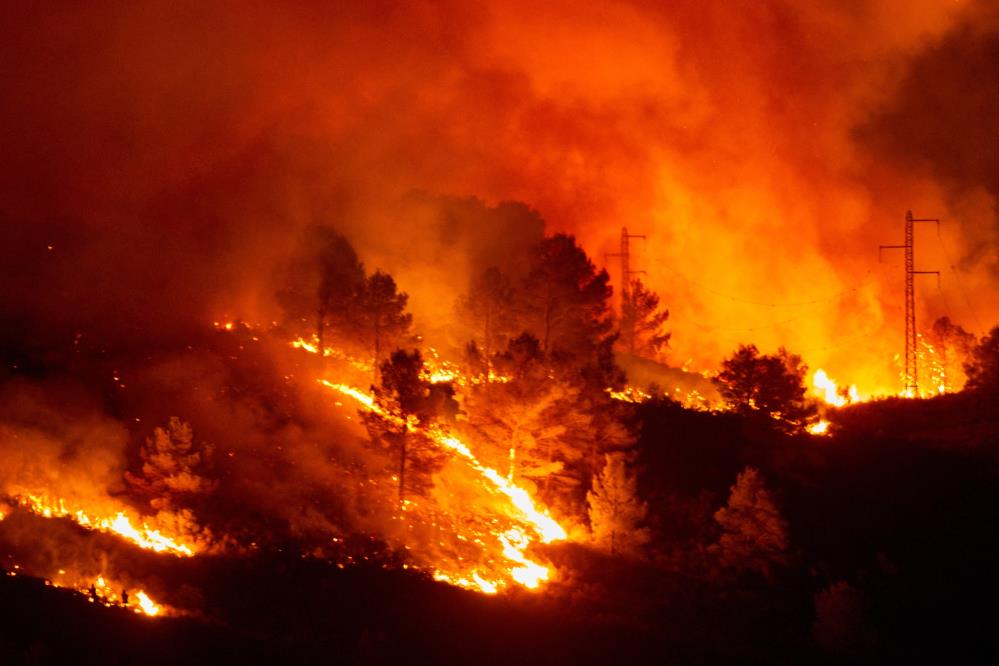 Cezayir’deki orman yangınlarında ölenlerin sayısı 42’ye yükseldi
