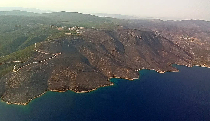 Muğla’dan yürek yakan manzara!