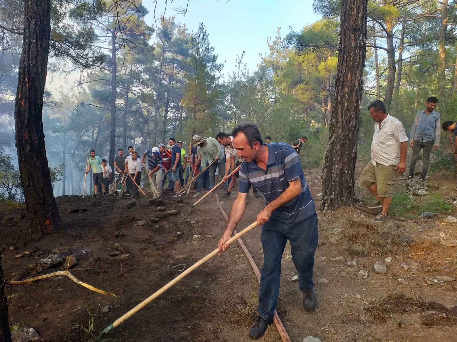 Muğla’daki orman yangını kontrol altına alındı