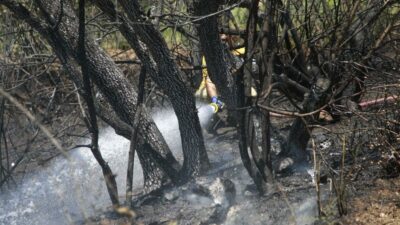Bursa’da orman yangını büyümeden söndürüldü