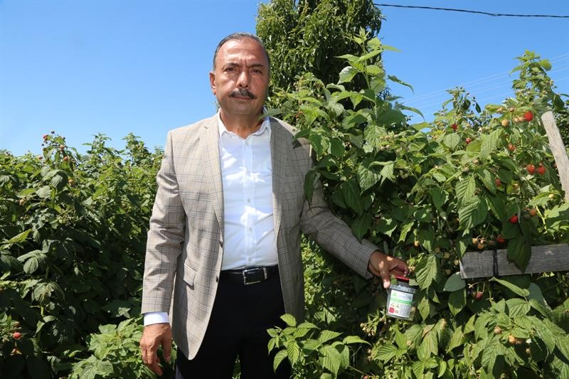 Bursa’da meyve düşmanı sinekler tuzakla yakalanacak