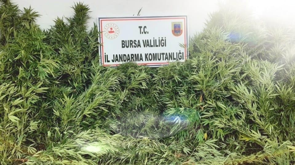 Bursa’da uyuşturucu operasyonu Bursa’da uyuşturucu operasyonu