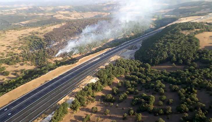 Balıkesir’de çıkan orman yangını kontrol altına alındı