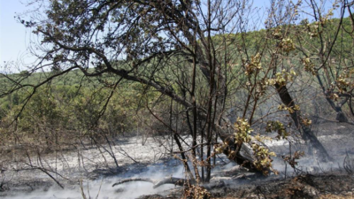 Bursa’da çevre temizliği için yaktığı ateş ormanı yakıyordu…