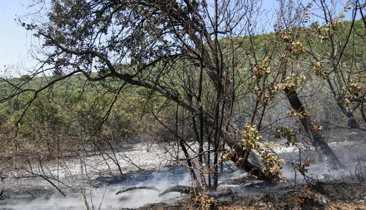 Bursa’da çevre temizliği için yaktığı ateş ormanı yakıyordu…
