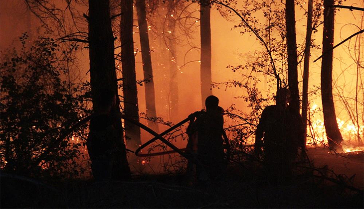Orman yangınlarında son durum! Milas ve Bodrum’da yangın kontrol altında…