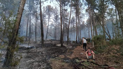 Bursa’daki orman yangını kontrol altına alındı…