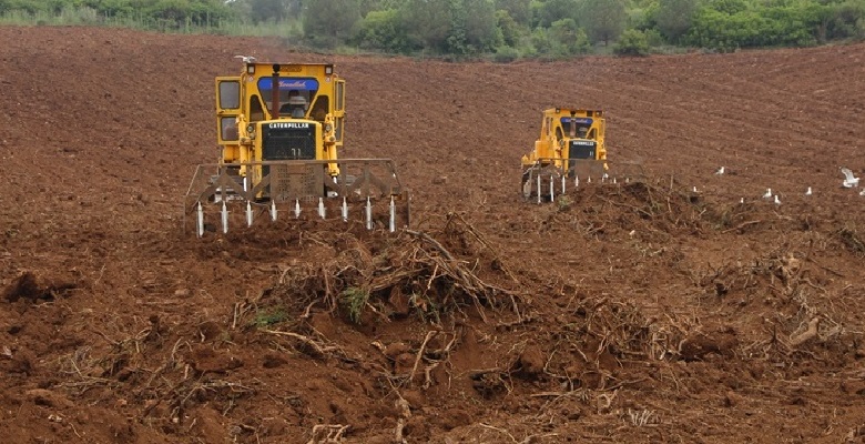Tarım ve Orman Bakanlığı: Üreticilere 210 milyon TL ödeme yapılacak