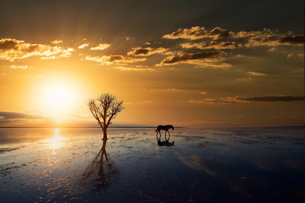 Dünya Meteoroloji Örgütü’nden korkutan rapor! Kayıtlardaki en sıcak 7 yıl