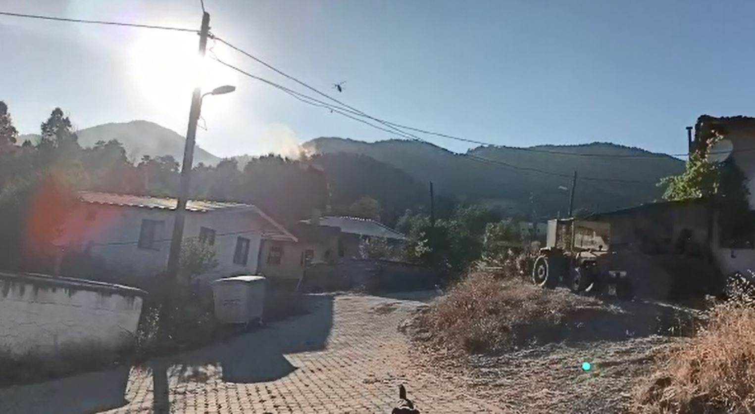 Bir orman yangını da Gemlik’te çıktı