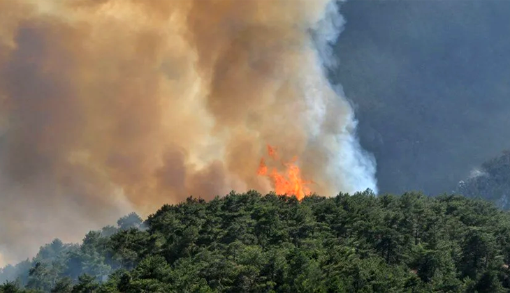 Orman yangınlarında son durum! Aydın’daki yangın kontrol altına alındı