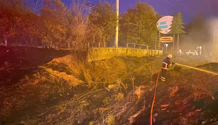 Diyarbakır’da ormanlık alanı ateşe veren 3 kişi yakalandı