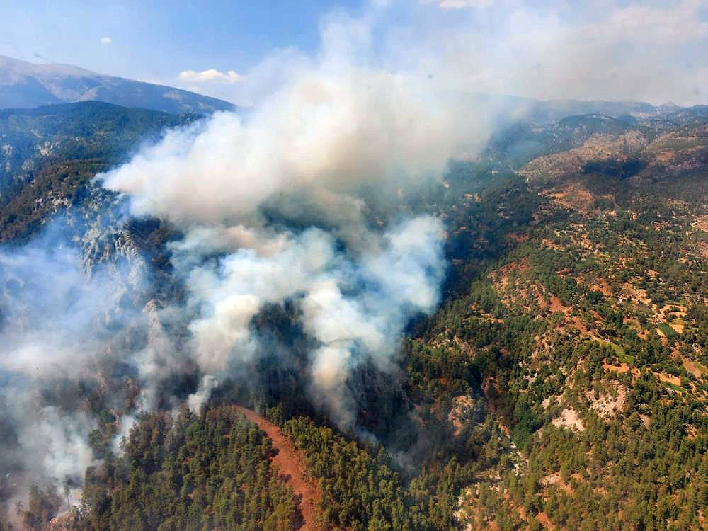 Muğla Köyceğiz yangını kontrol altına alındı