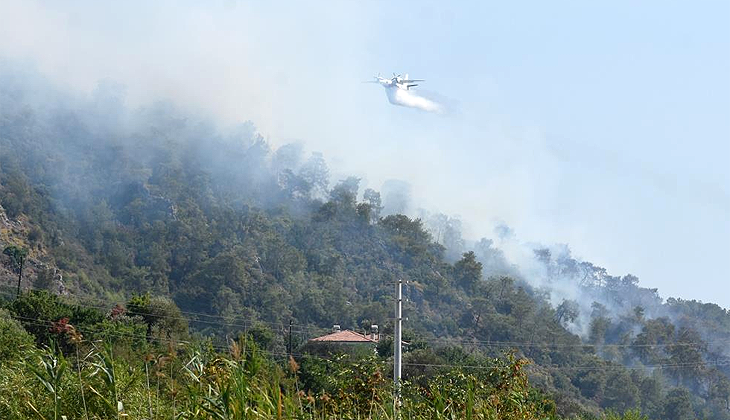 Orman yangınlarında son durum! Muğla’da 5 noktada alevlerle mücadele