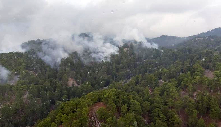 Antalya’da düşen yıldırım orman yangınına sebep oldu