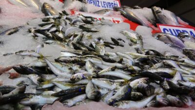 Balık tezgahları şenlendi fiyatlar düşüşe geçti