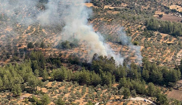 Muğla’da 15 yıldırım yangını söndürüldü