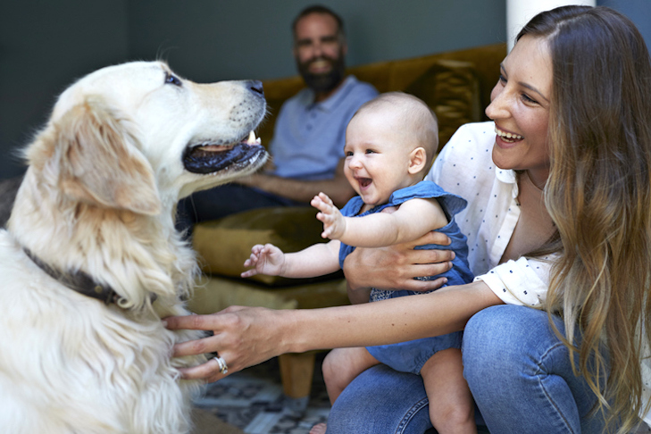 Bebekler ve köpeklerin ilginç benzerliği