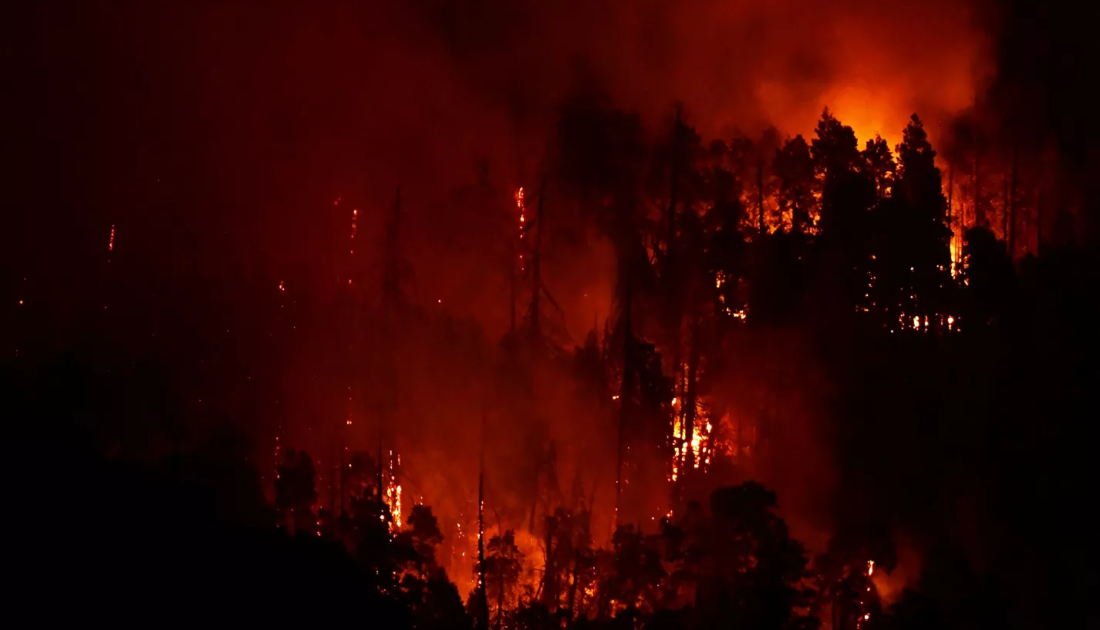 Orman Genel Müdürlüğü: Bugün çıkan 8 orman yangınının 7’sini kontrol altına aldık