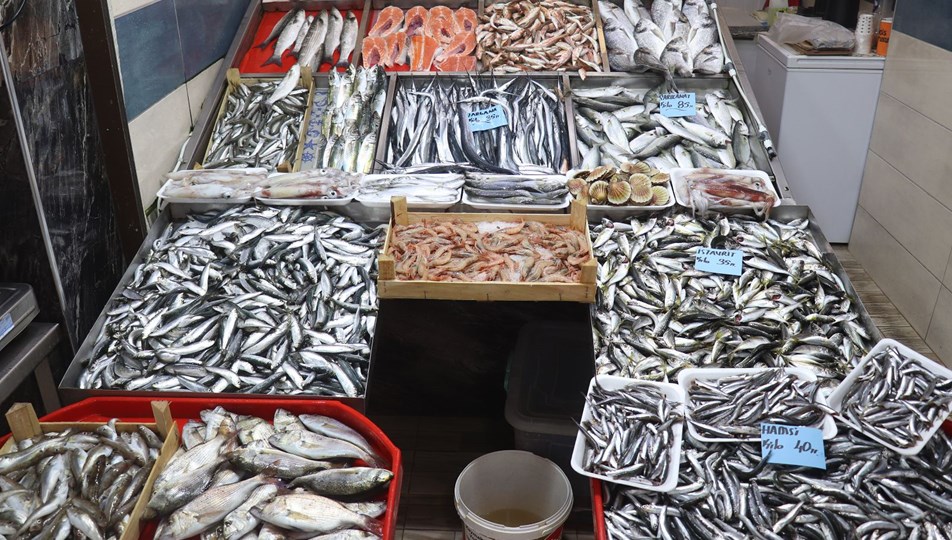 Balık fiyatları düşer mi? Ekim ayı kritik