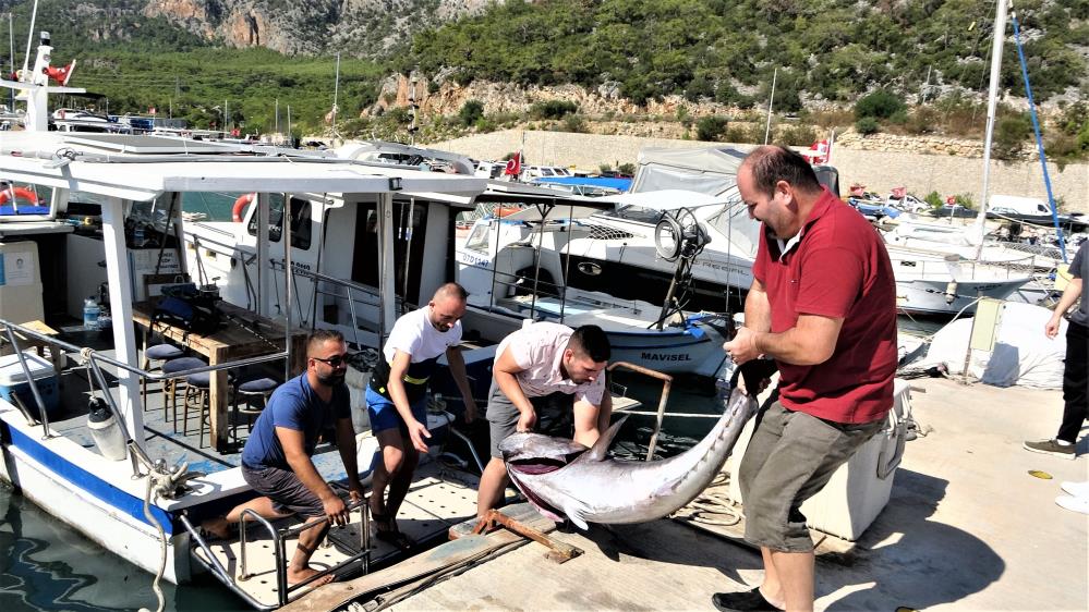 Tam 4 saat sürdü… 140 kiloluk balık ile amansız mücadele!