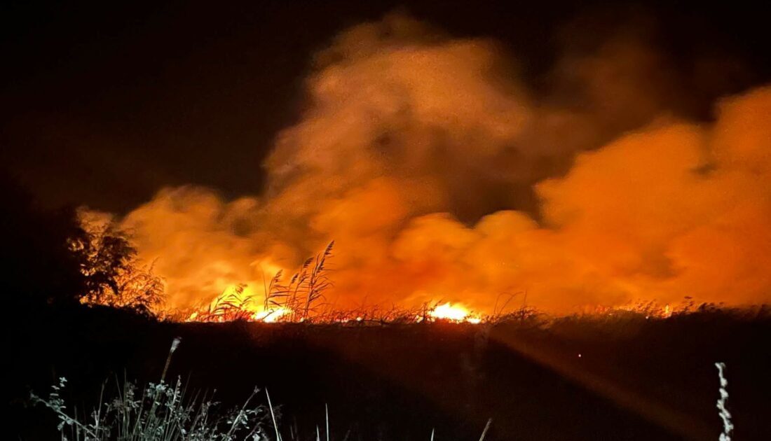 İznik Gölü kıyısında çıkan yangında 20 dönüm alan kül oldu
