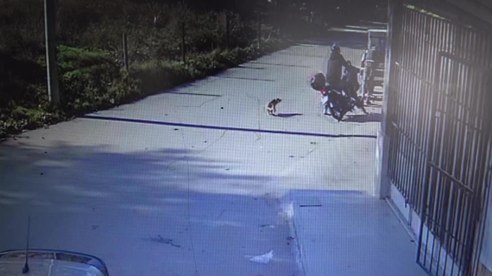 Bursa’da köpeği kovalayan motosikletli, vatandaşlara çarptı