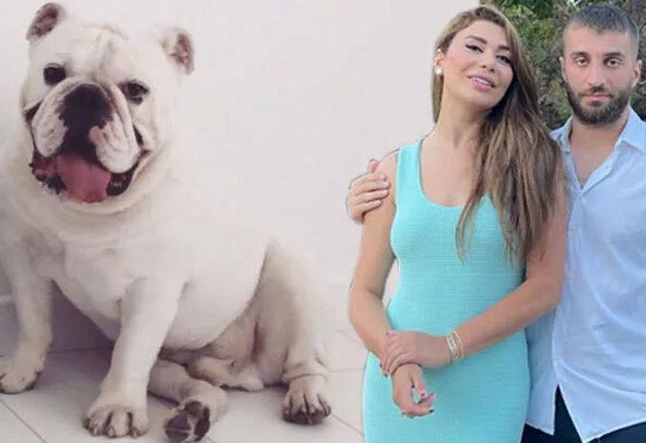 Ebru Şancı’nın acı günü! Köpeği Thedore’u kaybetti