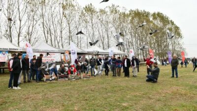 Bursa’da uçuş festivali… Yüzlerce güvercin yarıştı