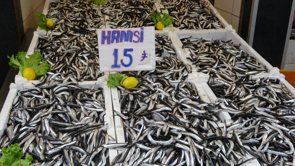 Palamutun yokluğu hamsiye yaradı