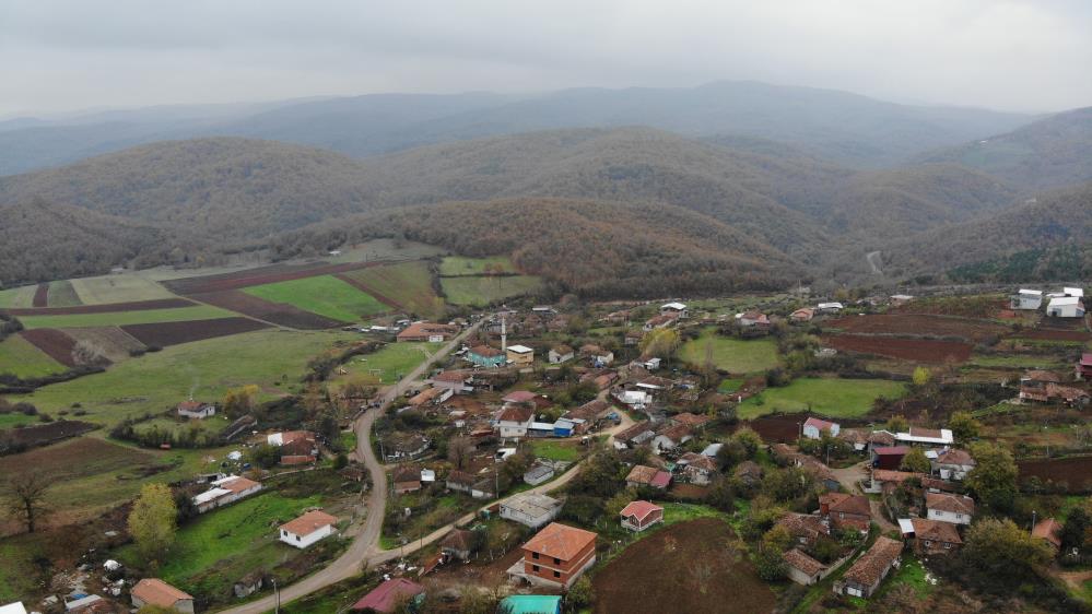 Bursa’da kurtlar köye dadandı, köylü paniğe kapıldı