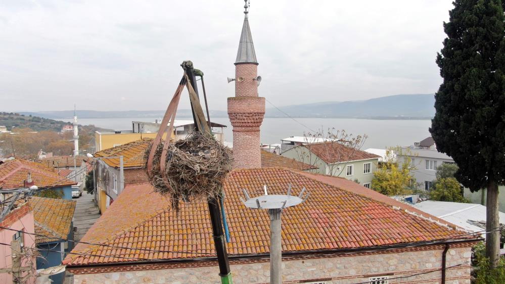 Küçük Venedik’te leylek yuvasına kentsel dönüşüm