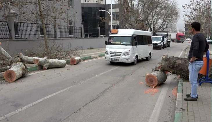 Bursa’da lodos nedeniyle okullar tatil olacak mı?