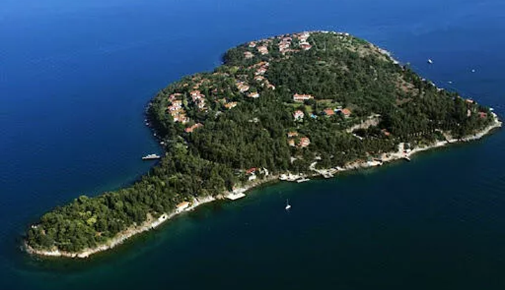 Marmara Denizi ve Adalar, ‘Özel Çevre Koruma Bölgesi’ ilan edildi